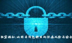 专家独家揭秘：比特币钱包拷贝的潜在风险与安