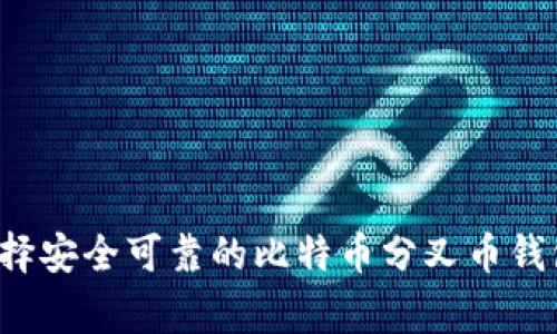 专家揭秘：如何选择安全可靠的比特币分叉币钱包？独家秘诀分享！