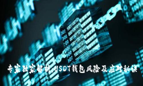 专家独家解析：USDT钱包风险及应对秘诀
