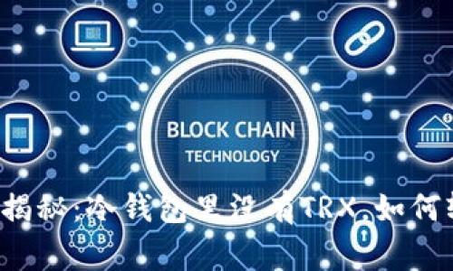 专家独家揭秘：冷钱包里没有TRX，如何轻松购买？