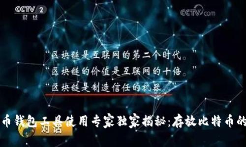 比特币钱包工具使用专家独家揭秘：存放比特币的秘诀
