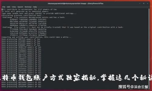 专家解读：比特币钱包账户方式独家揭秘，掌握这几个秘诀轻松选钱包