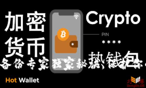 比特币钱包备份专家独家秘诀，保护你的资产安全！