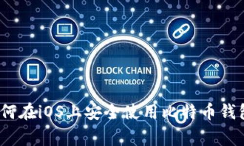 专家揭秘：如何在iOS上安全使用比特币钱包的独家秘诀