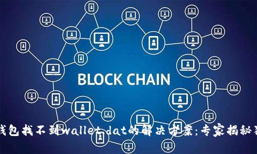 比特币钱包找不到wallet.dat的解决方案：专家揭秘独家技巧