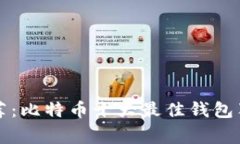 专家推荐：比特币十大最佳钱包独家揭秘