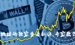 揭秘：NEAR钱包地址的独家查看秘诀，专家教你如