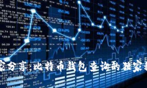 专家分享：比特币钱包查询的独家秘诀