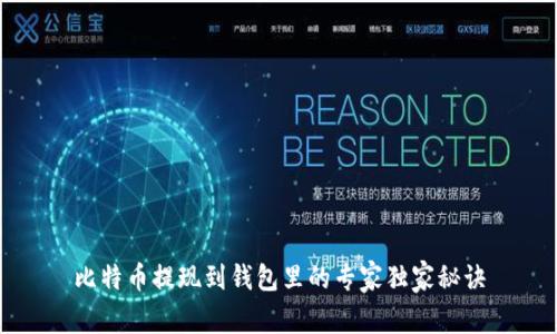 比特币提现到钱包里的专家独家秘诀