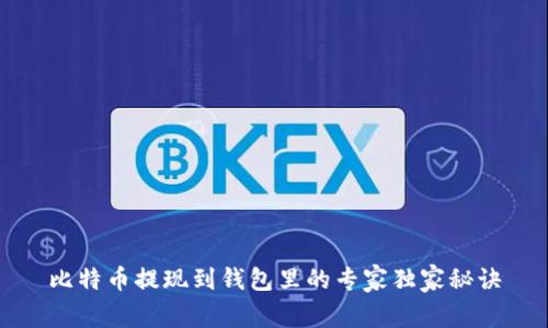 比特币提现到钱包里的专家独家秘诀