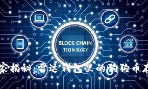 专家独家揭秘：雷达钱包里的狗狗币存储秘诀