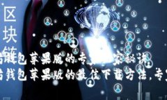 下载以太坊钱包苹果版的专家独家秘诀获取以太