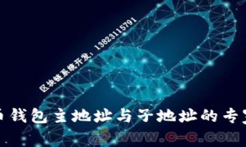 揭秘比特币钱包主地址与子地址的专家独家秘诀