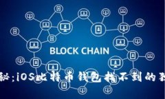 专家揭秘：iOS比特币钱包找不到的独家秘诀