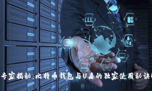 专家揭秘：比特币钱包与U盾的独家使用秘诀！