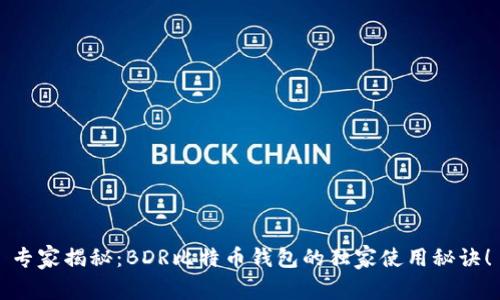 专家揭秘：BDR比特币钱包的独家使用秘诀！