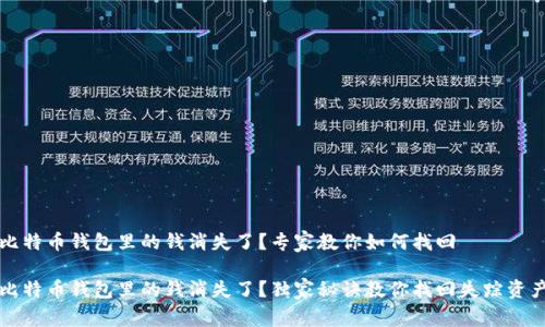 比特币钱包里的钱消失了？专家教你如何找回

比特币钱包里的钱消失了？独家秘诀教你找回失踪资产