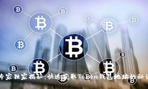 专家独家揭秘：快速获取Token钱包地址的秘诀