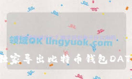 专家揭秘：如何独家导出比特币钱包DAT文件的私钥秘诀