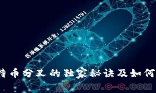 专家揭秘：比特币分叉的独家秘诀及如何安全存储钱包