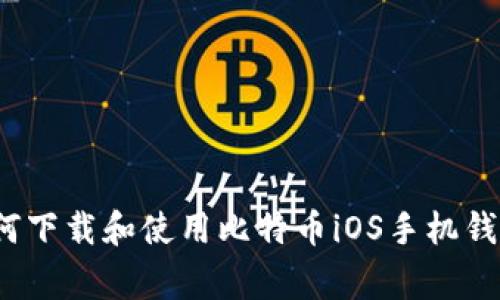 专家揭秘：如何下载和使用比特币iOS手机钱包的独家秘诀
