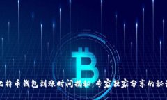 比特币钱包到账时间揭秘：专家独家分享的秘诀