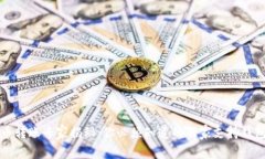 瑞波币转账专家揭秘：你必须知道的独家支持钱