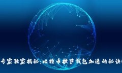 专家独家揭秘：比特币披萨钱包加速的秘诀！