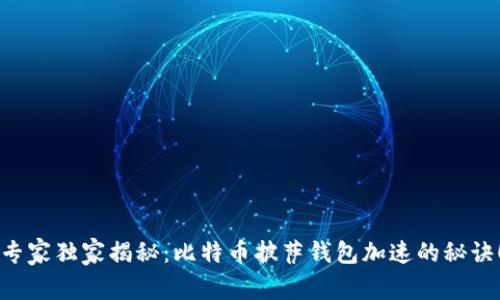 专家独家揭秘：比特币披萨钱包加速的秘诀！