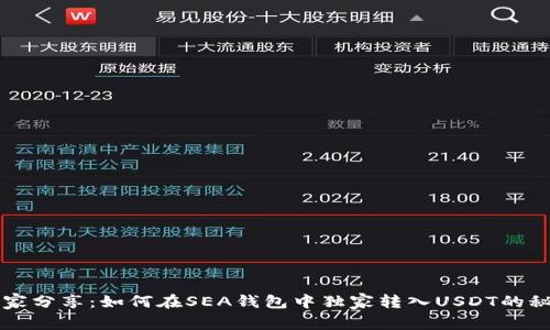 专家分享：如何在SEA钱包中独家转入USDT的秘诀