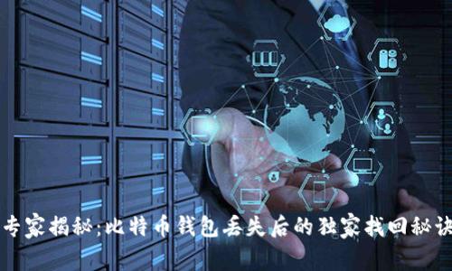 专家揭秘：比特币钱包丢失后的独家找回秘诀