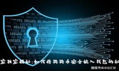 专家独家揭秘：如何将狗狗币安全放入钱包的秘