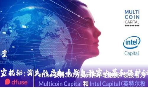 提案

专家揭秘：消失的虚拟币钱包独家内幕和保护秘诀