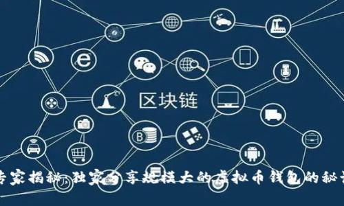 专家揭秘：独家分享规模大的虚拟币钱包的秘诀