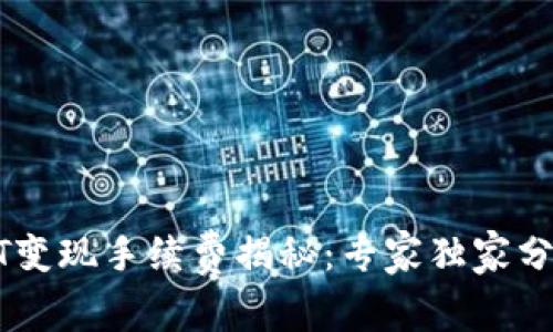 TP钱包USDT变现手续费揭秘：专家独家分享省钱秘诀