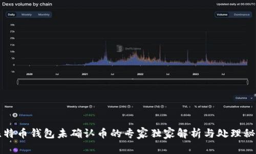 比特币钱包未确认币的专家独家解析与处理秘诀