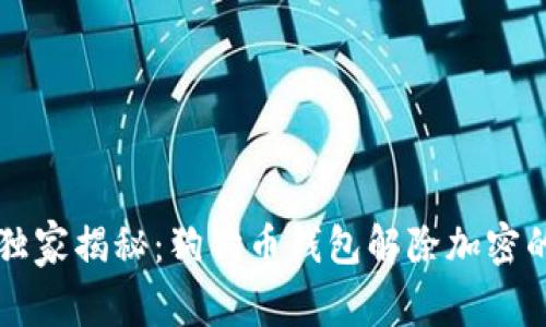专家独家揭秘：狗狗币钱包解除加密的秘诀