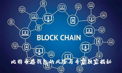 比特币存钱包的风险与专家独家揭秘