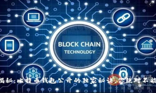 专家揭秘：比特币钱包公开的独家秘诀，你绝对不能错过！