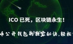 专家揭示：比特币公开钱包的独家秘诀，轻松掌