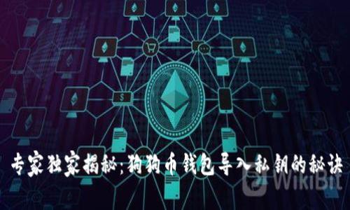 专家独家揭秘：狗狗币钱包导入私钥的秘诀