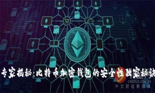 专家揭秘：比特币加密钱包的安全性独家秘诀