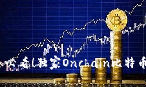 专家揭秘：新手必看！独家Onchain比特币钱包使用秘诀