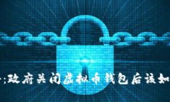专家独家揭秘：政府关闭虚拟币钱包后该如何应