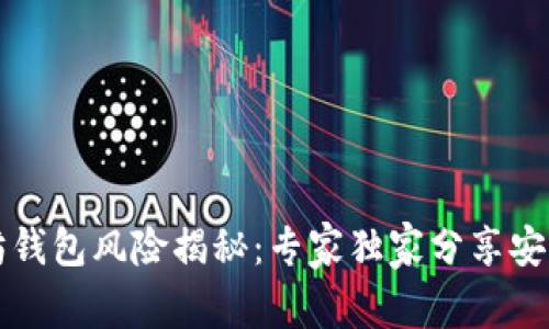 以太坊钱包风险揭秘：专家独家分享安全秘诀