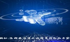 独家揭秘：选择最佳中文比特币钱包的专家秘诀