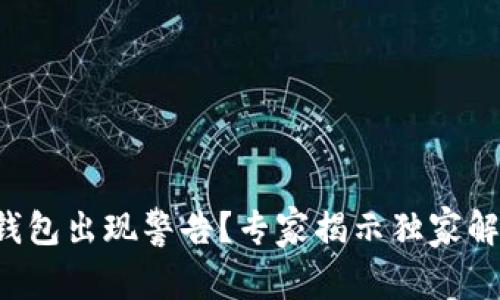 比特币钱包出现警告？专家揭示独家解决秘诀！