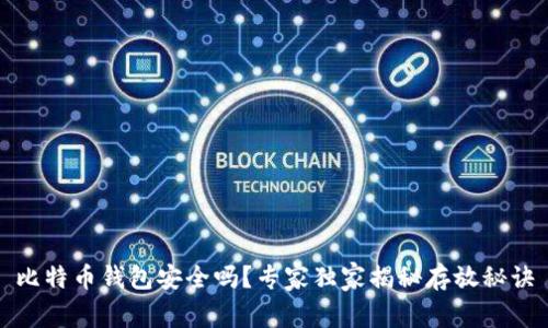 比特币钱包安全吗？专家独家揭秘存放秘诀