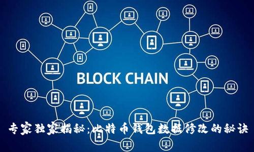 专家独家揭秘：比特币钱包数据修改的秘诀