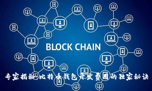 专家揭秘：比特币钱包开发费用的独家秘诀